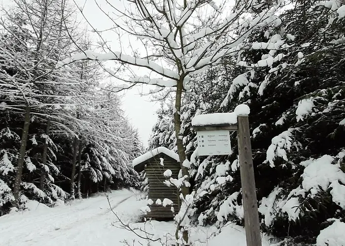 Tatil Evi Schmallenberger *